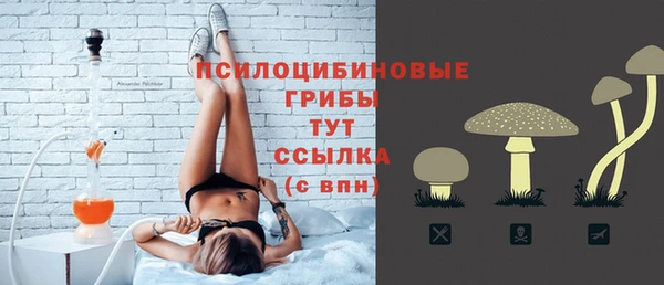 шишки Нея