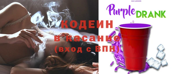 шишки Нея