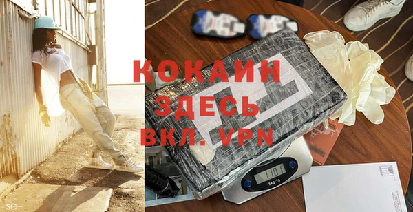 шишки Нея