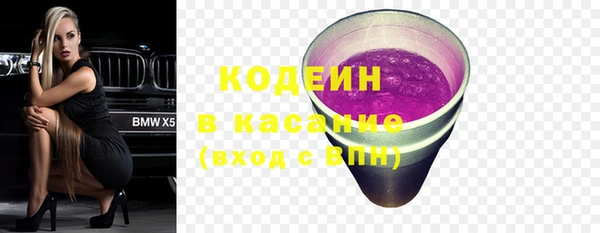 стаф Новозыбков