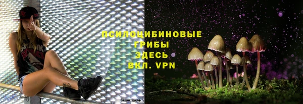 шишки Нея