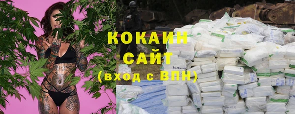 шишки Нея