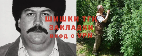 шишки Апатиты
