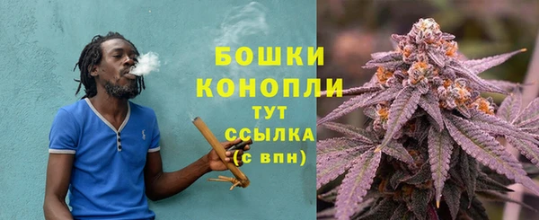 шишки Нея