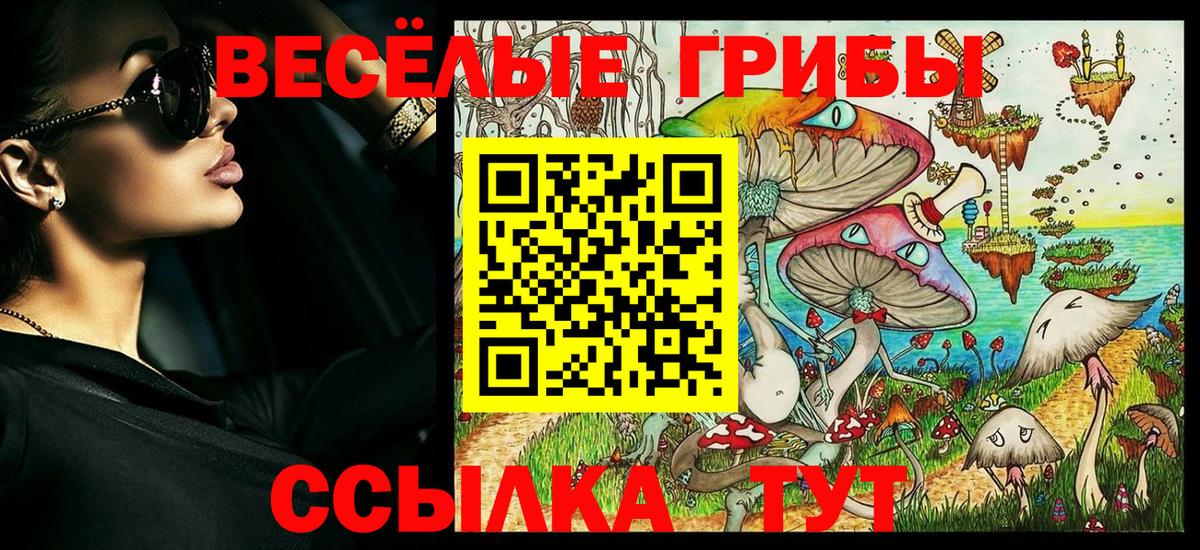 Богданович  Псилоцибиновые грибы Psilocybine cubensis  где можно купить   Вход с VPN  Галлюциногенные грибы ЛСД 