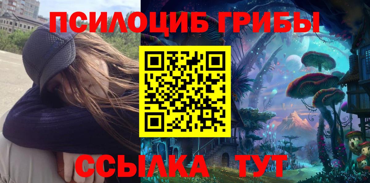 Псилоцибиновые грибы мухоморы Богданович