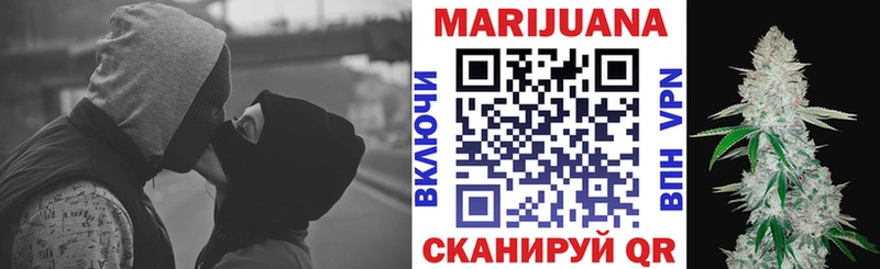 Каннабис сатива  Богданович 