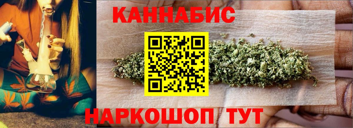 Каннабис планчик Богданович